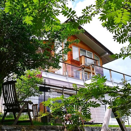 Ferienwohnung Hoellwart - Exclusiv, Ruhige Lage, Panoramablick Bischofshofen Exterior foto
